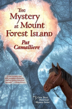 Bertrand.pt - The Mystery At Mount Forest Island