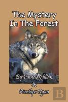 The Mystery In The Forest