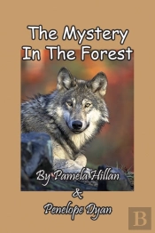 The Mystery In The Forest