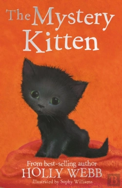 Bertrand.pt - The Mystery Kitten