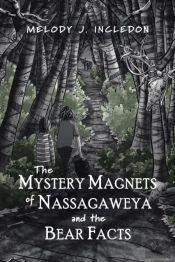 The Mystery Magnets Of Nassagaweya And The Bear Facts