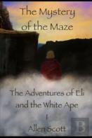 The Mystery Of The Maze