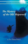 The Mystery Of The Old Shipwreck
