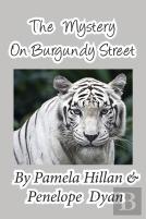 The Mystery On Burgundy Street