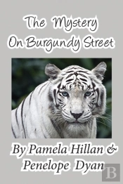 The Mystery On Burgundy Street