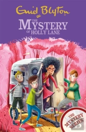 The Mystery Series: The Mystery Of Holly Lane