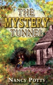 The Mystery Tunnel
