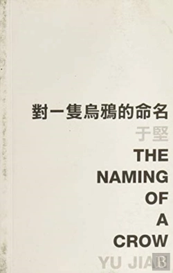 Bertrand.pt - The Naming Of A Crow