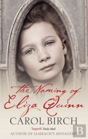 The Naming Of Eliza Quinn