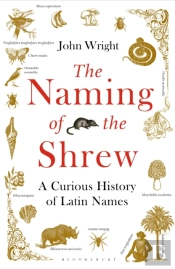 The Naming Of The Shrew