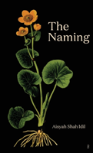 The Naming