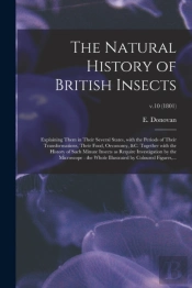 The Natural History Of British Insects :