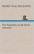 The Naturalist On The River Amazons