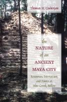 The Nature Of An Ancient Maya City