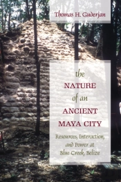 The Nature Of An Ancient Maya City