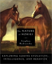 The Nature Of Horses