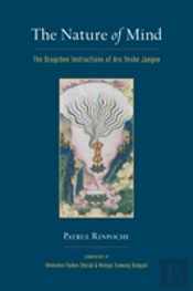 The Nature Of Mind