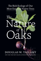 The Nature Of Oaks
