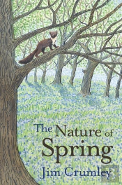 The Nature Of Spring