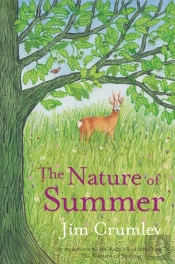 The Nature Of Summer