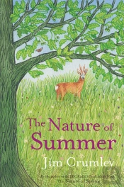 The Nature Of Summer