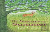 The Nature Of Summer