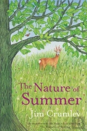 The Nature Of Summer