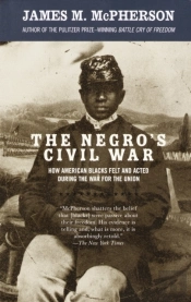 The Negro'S Civil War