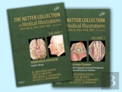 The Netter Collection Of Medical Illustrations - Nervous System Package