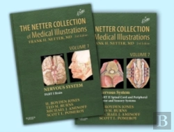 Bertrand.pt - The Netter Collection Of Medical Illustrations - Nervous System Package