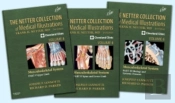 The Netter Collection Of Medical Illustrations