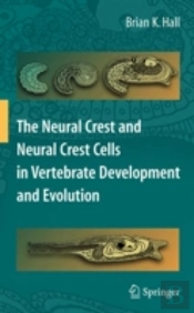 The Neural Crest And Neural Crest Cells In Vertebrate Development And Evolution