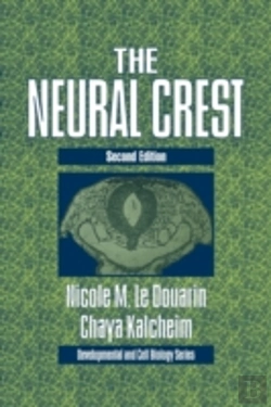 Bertrand.pt - The Neural Crest