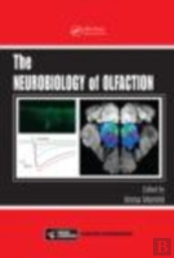 Bertrand.pt - The Neurobiology Of Olfaction