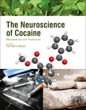 The Neuroscience Of Cocaine