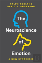 The Neuroscience Of Emotion