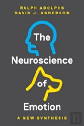 The Neuroscience Of Emotion