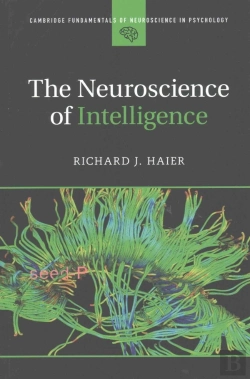 Bertrand.pt - The Neuroscience Of Intelligence