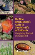 The New Beachcombers Guide To Seashore Life Of Californi