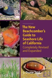 The New Beachcombers Guide To Seashore Life Of Californi