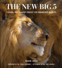 The New Big Five