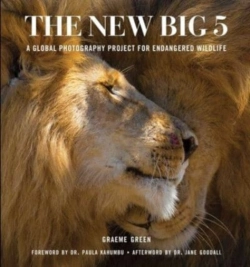 Bertrand.pt - The New Big Five