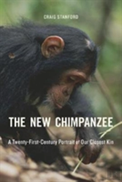 Bertrand.pt - The New Chimpanzee
