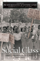 The New Encylopedia Of Southern Culture