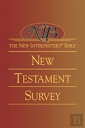 The New Interpreter'S Bible