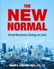 The New Normal Small Business Going On Line