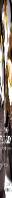 The New Tea Companion