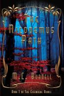 The Nicodemus Path