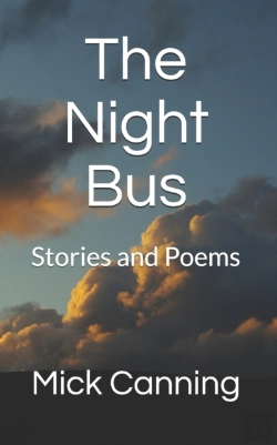 Bertrand.pt - The Night Bus