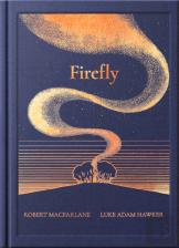 The Night Creatures: Firefly Â€“ A Guardian Book Of The Year